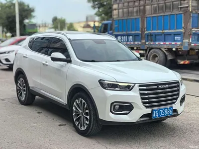 2020 Haval H6 1.5GDIT Automatic Platinum Champion Edition, фото 3, лот 10281558