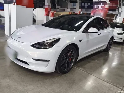 2021 Tesla Model 3 Facelift Performance High-Performance AWD 3D1, фото 2, лот 11068160