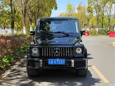 2010 Mercedes-Benz G-Class G 500, фото 2, лот 10620017