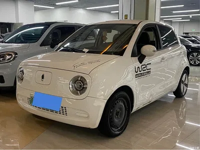 2021 Ora Black Cat 301km Basic Model, фото 1, лот 11203020