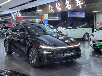 2025 Tesla Model Y L, фото 3, лот 10454225