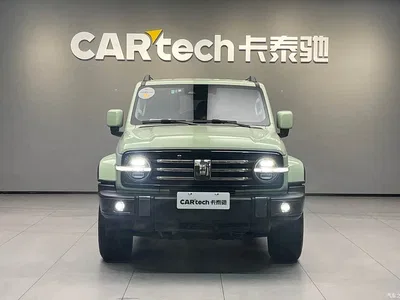 2021 Tank 300 Urban Edition 2.0T Stylish, фото 2, лот 11247243
