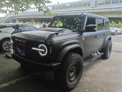 2024 Ford Bronco 2.3T Badlands, фото 1, лот 10837149
