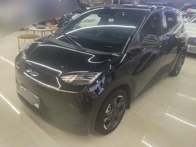 2025 BYD Seagull Smart Driving Edition 405km Flying Edition, фото 1, лот 10252447