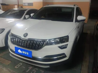 2020 Škoda Karoq TSI280 Smart Tech Edition China VI, фото 1, лот 10349054