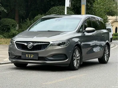2019 Buick GL6 Model 18T 5-Seater Connected Luxury Version China V, фото 3, лот 10632397