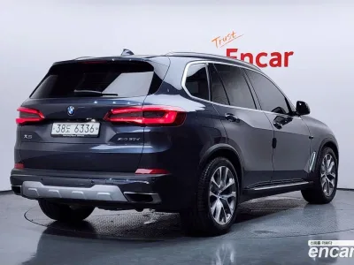 2019 BMW X5 xDrive 30d xLine, фото 1, лот 10078086