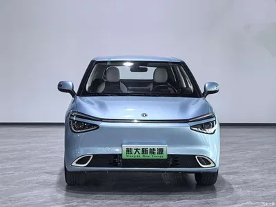 2024 Dongfeng Yipai Nano 01 330 Air, фото 2, лот 10835136