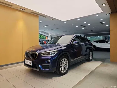 2019 BMW X1 sDrive20Li Leading Model, фото 1, лот 10239057
