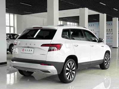 2021 Škoda Karoq TSI280 Luxury Edition, фото 4, лот 10349531