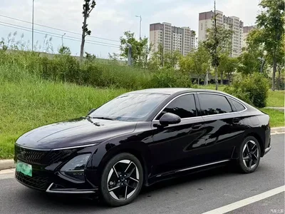 2024 Wuling Motors Wuling Xingguang Co-Creation Edition 150 Advanced, фото 1, лот 11132548