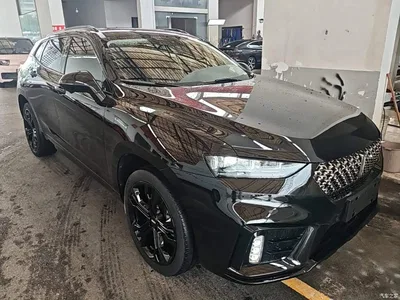2020 WEY VV7 Model 2.0T Flagship, фото 4, лот 10452197