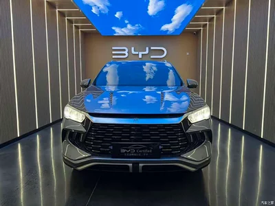 2023 BYD Song Pro New Energy Champion Edition DM-i 110KM Excellence, фото 2, лот 10768383