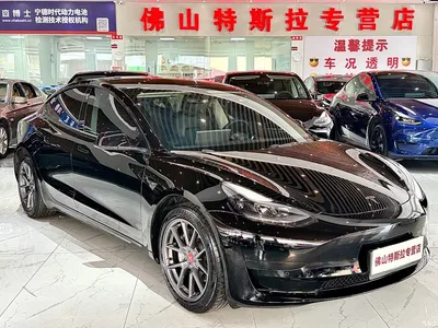 2022 Tesla Model 3 Model Rear-Wheel Drive Version, фото 2, лот 11087410