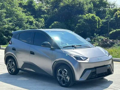 2024 BYD Seagull Glory Edition 305km Freedom Edition, фото 3, лот 10254988