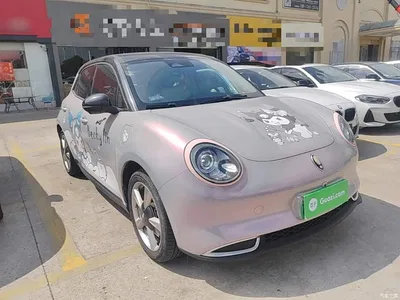 2023 Ora Good Cat 401km Standard Range Luxury LFP, фото 4, лот 10674946