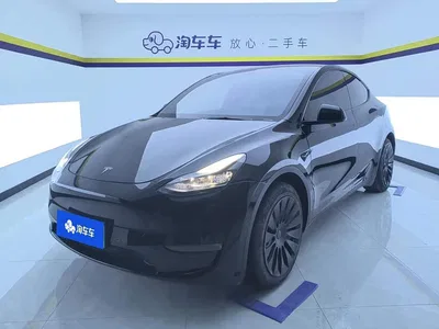 2021 Tesla Model Y Standard Range Rear-Wheel Drive, фото 1, лот 11549351
