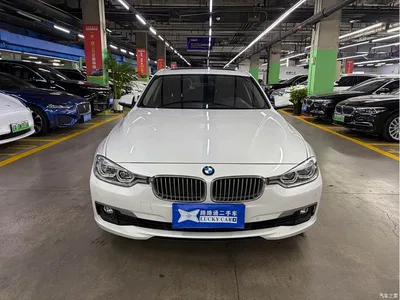 2018 BMW 3 Series 320Li xDrive Fashion Style, фото 3, лот 11499400