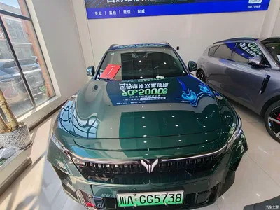 2025 Voyah Auto VOYAH FREE 318 318km RWD Touring Edition, фото 2, лот 10407225