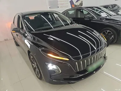 2023 Hongqi E-QM5 Facelift Basic Travel Edition, фото 4, лот 10289397