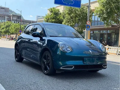 2024 Ora Good Cat 401km Premium 126kW, фото 3, лот 10330829