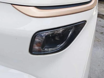 2020 Baojun E200 305KM Smart Edition, фото 4, лот 11018430