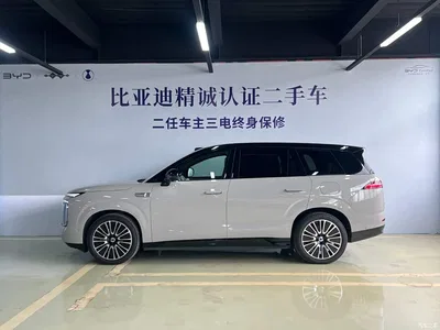 2025 Denza N8L Standard, фото 3, лот 10346413