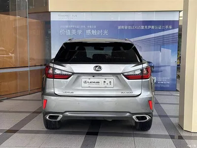2016 Lexus RX 300 2WD Elite Edition (China V), фото 4, лот 10670796