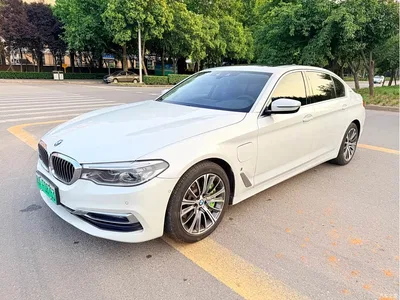 2019 BMW 5 Series New Energy 530Le Luxury Package, фото 1, лот 10474371