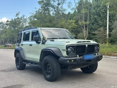 2021 Tank 300 2.0T Wind Forest Iron Cavalry, фото 4, лот 11585338