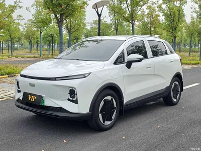 2024 Geely E Firefly Model 301km Light Flow, фото 1, лот 11148277