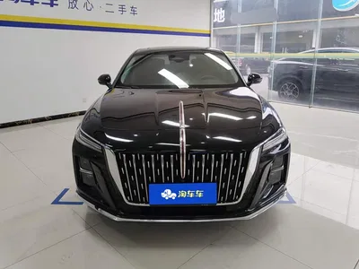 2024 Hongqi H5 2.0T Automatic Smart Connect Flag Smooth Edition, фото 2, лот 10287748