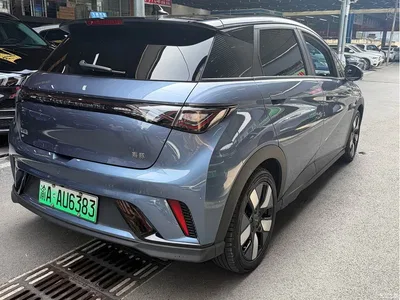 2024 BYD Dolphin Glory Edition 401km Knight Edition, фото 4, лот 11179267