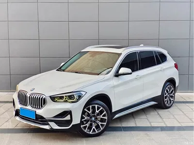 2020 BMW X1 xDrive25Li Premium Edition, фото 1, лот 10466474