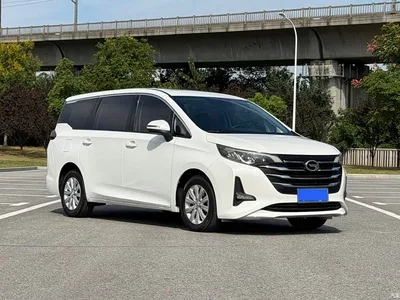 2019 GAC Trumpchi Trumpchi M6 270T Automatic Luxury (7-seater) China V, фото 3, лот 10482624