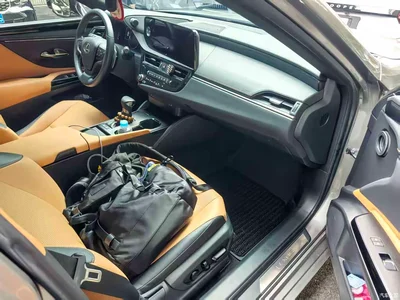 2022 Lexus ES 200 Excellence Edition, фото 4, лот 10312384