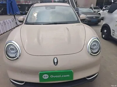 2022 Ora Good Cat 400km Standard Range Luxury LFP, фото 3, лот 10330807