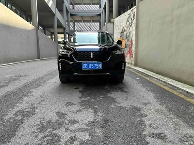 2018 WEY VV6 2.0T 4WD Flagship China V, фото 1, лот 10451854