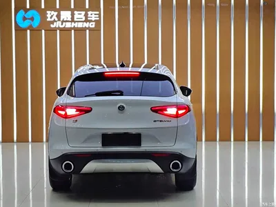2017 Alfa Romeo Stelvio 2.0T 200HP Elite, фото 4, лот 10239835
