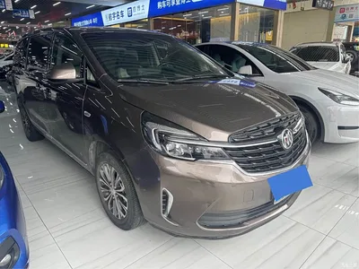 2021 Buick GL8 Land Business Class 652T Luxury, фото 3, лот 10254768