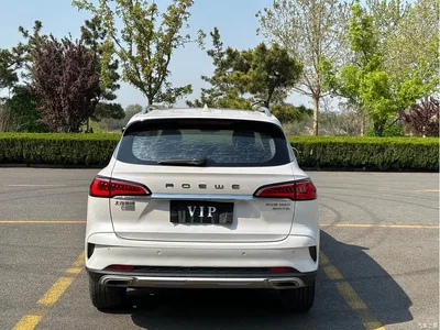 2019 Roewe RX5 MAX 300TGI Automatic 4G Connected Luxury Edition, фото 4, лот 10340172