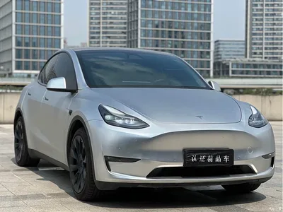 2021 Tesla Model Y Standard Range Rear-Wheel Drive, фото 3, лот 10696649