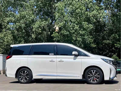 2021 GAC Trumpchi Trumpchi M8 Leading Show Series 390T Luxury Edition, фото 4, лот 10415355