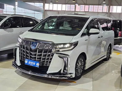 2020 Toyota Alphard Hybrid 2.5L Premium Edition, фото 1, лот 10268743