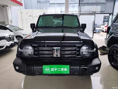 2021 Tank 300 Off-road Version 2.0T Conqueror, фото 3, лот 10345226
