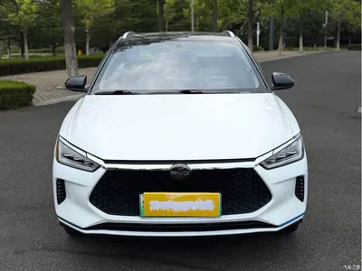 2021 BYD e2 Luxury Edition, фото 2, лот 10251342