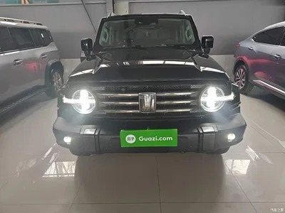 2021 Tank 300 Urban Edition 2.0T Stylish, фото 3, лот 10345655