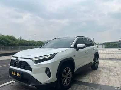 2023 Toyota RAV4 Rongfang 2.0L CVT 2WD 20th Anniversary Platinum Edition, фото 1, лот 10442789