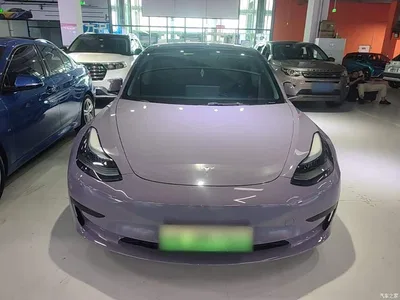 2022 Tesla Model 3 Model Rear-Wheel Drive Version, фото 3, лот 10389982