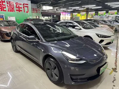 2019 Tesla Model 3 (Import) Standard Range RWD Upgraded Edition, фото 3, лот 10356961
